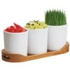 Cal-Mil 3647-32-99 Madera Serving / Display Tray With 32 Ounce Jars -CARLISLE SHOP 6073763