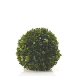 Accent Decor 62001.00 6" Boxwood Sphere